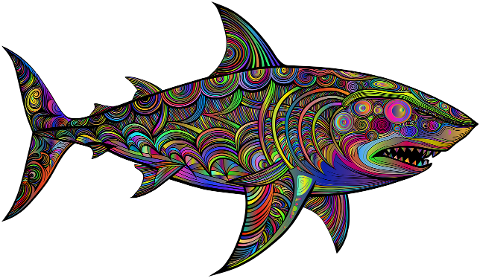 shark-marine-fish-flourish-ocean-9595874