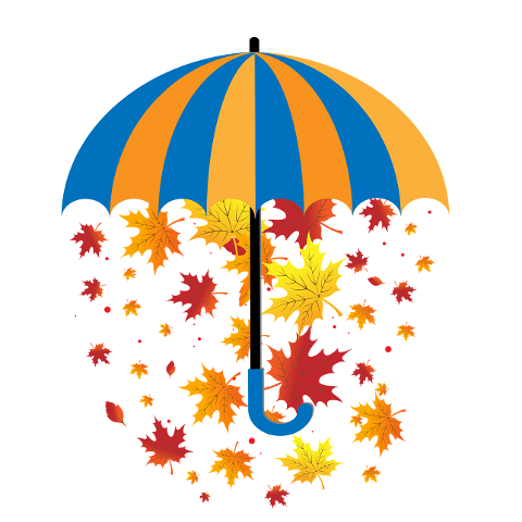 umbrella-rain-foliage-leaves-7444948