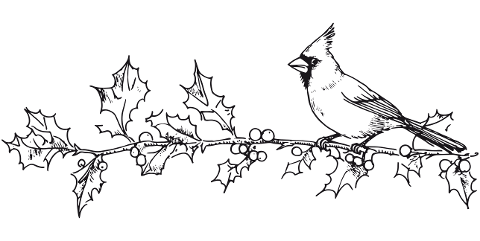 bird-branch-holly-winter-christmas-10028229
