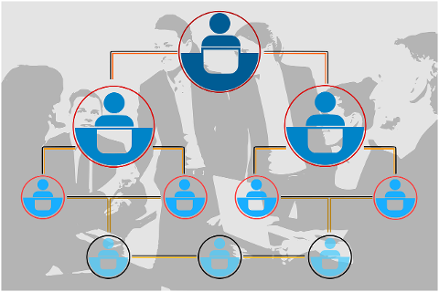 organization-chart-information-7467091