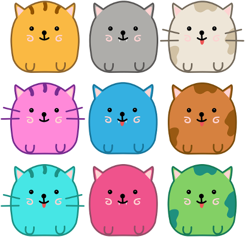 cats-animals-kitten-domestic-animal-8913164