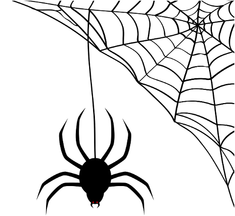 spider-web-spider-web-halloween-1777668